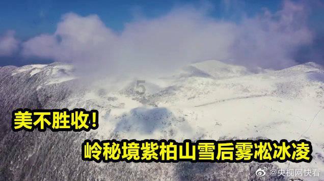 御龙在天