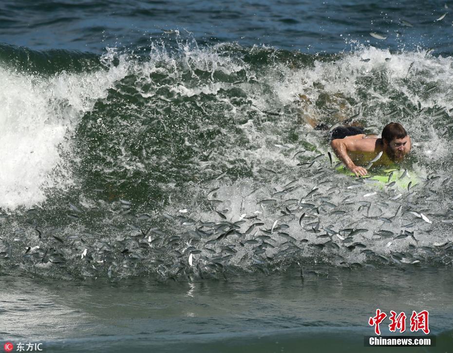 【中国味道】什锦砂锅:小火慢炖 烹出年味