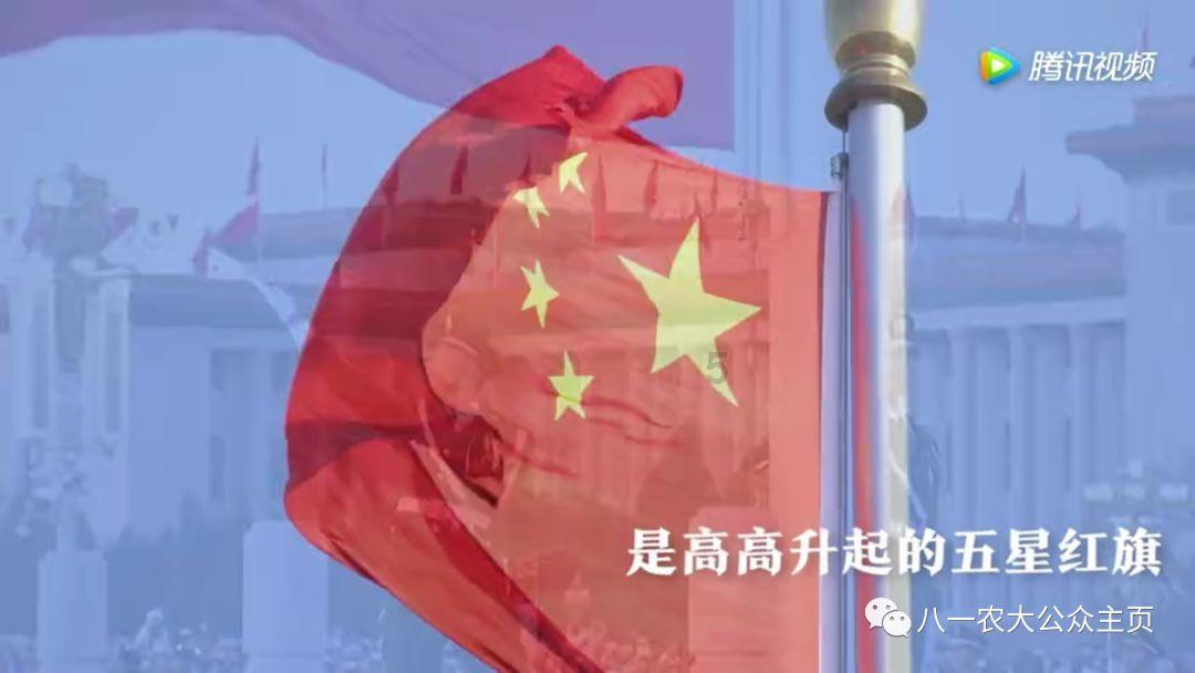 沪政协委员呼吁上海打造“宠物友好城市”