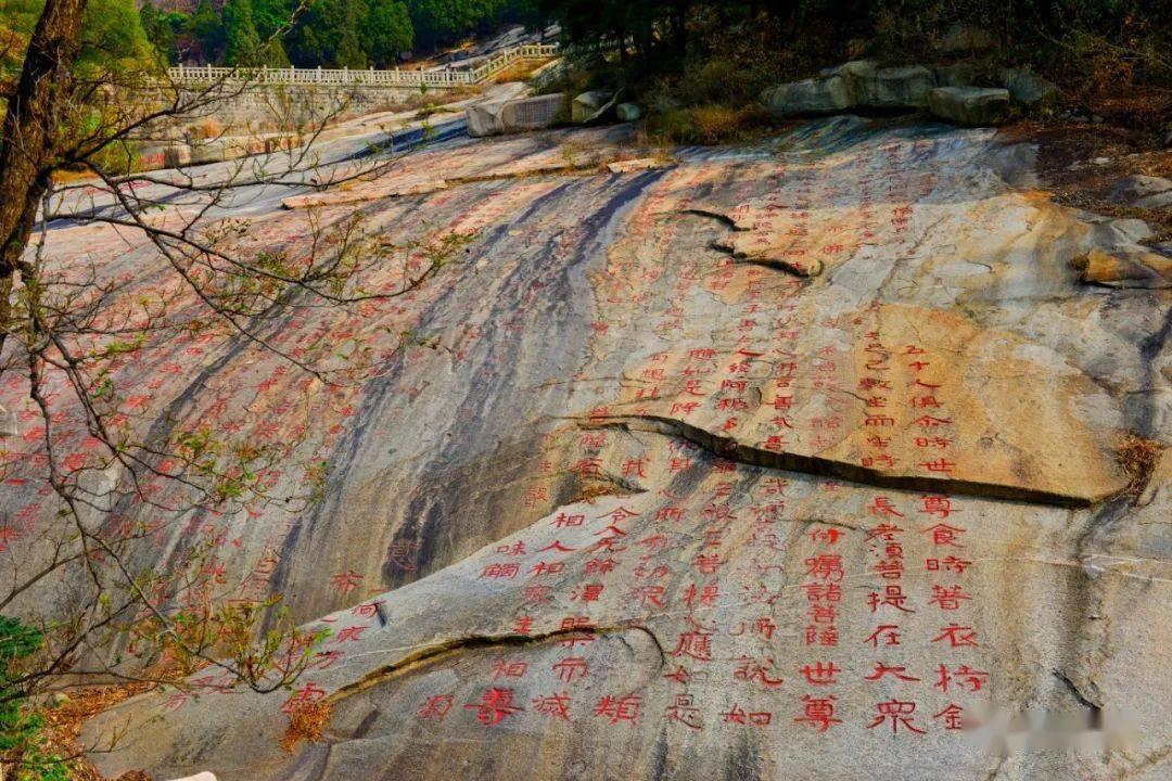 逗小猴开心系列191