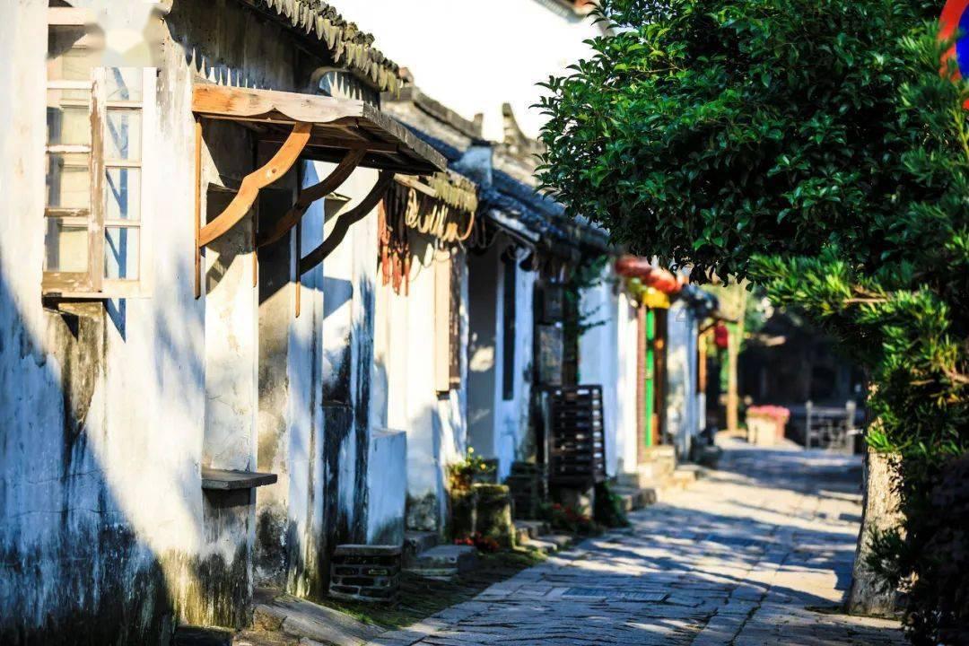 寻找丢失的金币